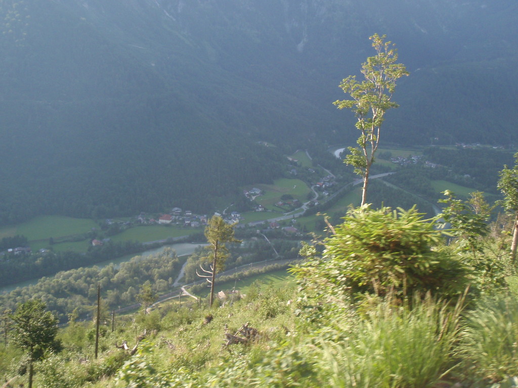 Sonnwendfeier Bromberg